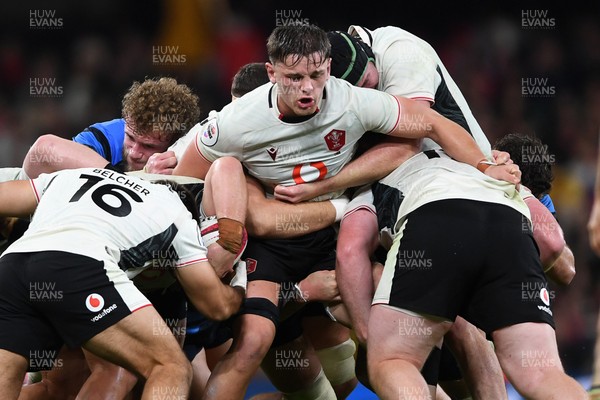 151125 - Wales v Japan - Quilter Nations Series - Alex Mann of Wales