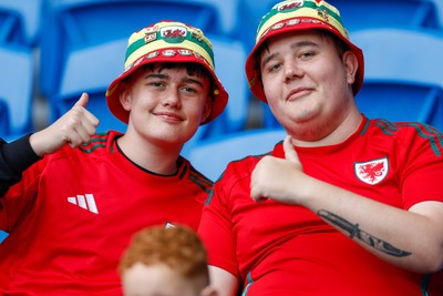 060625 - Wales v Liechtenstein - 2026 FIFA World Cup Qualifying - Wales fans during the game