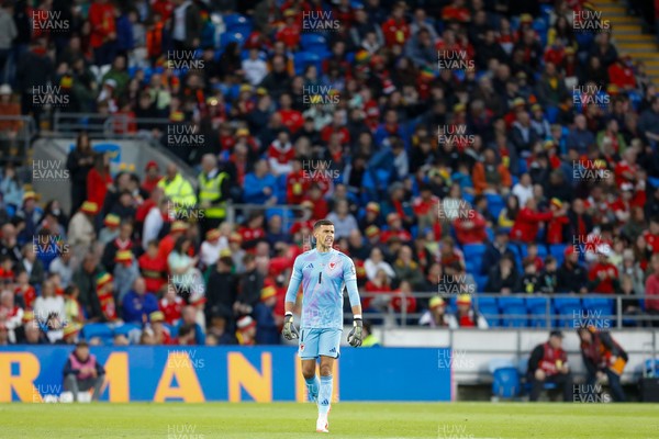 060625 - Wales v Liechtenstein - 2026 FIFA World Cup Qualifying - Karl Darlow of Wales