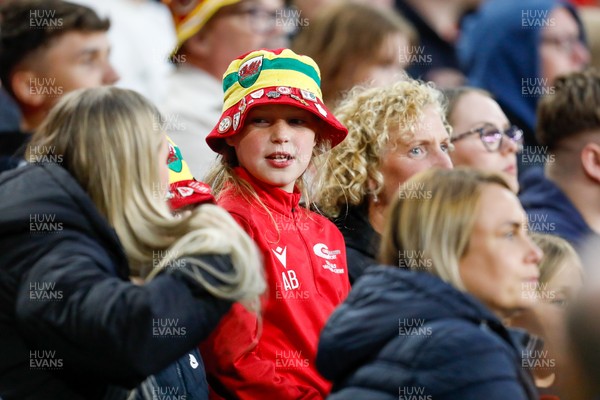060625 - Wales v Liechtenstein - 2026 FIFA World Cup Qualifying - Wales fan during game