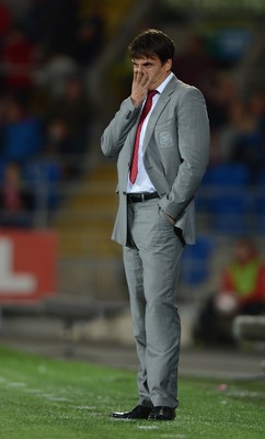 111013 - Wales v Macedonia - FIFA 2014 World Cup Qualifier - Wales manager Chris Coleman looks on