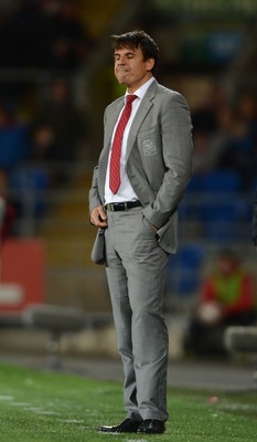 111013 - Wales v Macedonia - FIFA 2014 World Cup Qualifier - Wales manager Chris Coleman looks on