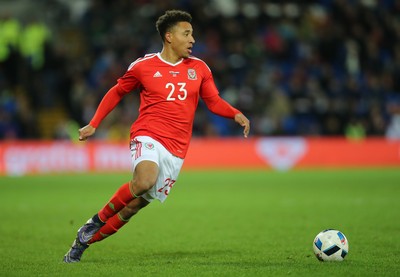 131115 - Wales v Netherlands, Vauxhall International Friendly - Adam Henley of Wales