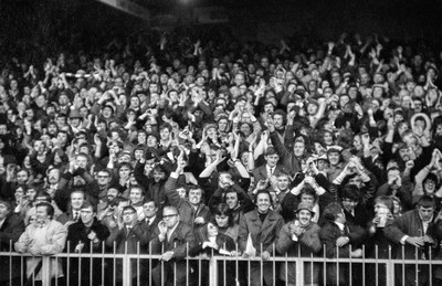 021272 - Wales v New Zealand - Wales fans