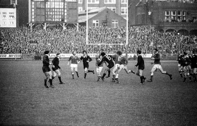 021272 - Wales v New Zealand - Wales Roy Burgers and Joe Karam of the All Blacks contest ball