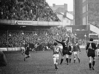 021272 - Wales v New Zealand - Pole Whiting holds his hands aloft to celebrate the All Blacks win