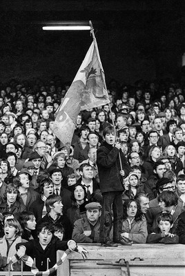 021272 - Wales v New Zealand - A young Wales fan stands with a Welsh flag