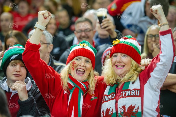 051122 - Wales v New Zealand - Autumn Nations Series - Fans