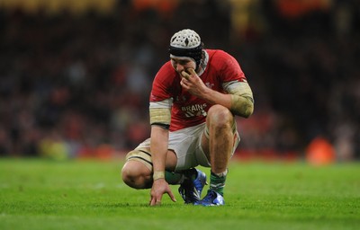 07.11.09 - Wales v New Zealand - Invesco Perpetual Series 2009 - Ryan Jones of Wales looks dejected. 