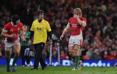 07.11.09 - Wales v New Zealand - Invesco Perpetual Series 2009 - Andy Powell of Wales leaves the field. 