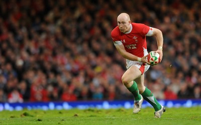 07.11.09 - Wales v New Zealand - Invesco Perpetual Series 2009 - Tom Shanklin of Wales. 