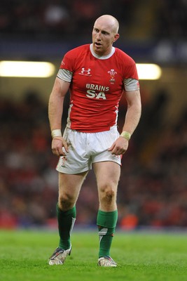 07.11.09 - Wales v New Zealand - Invesco Perpetual Series 2009 - Tom Shanklin of Wales. 