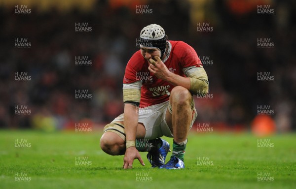 07.11.09 - Wales v New Zealand - Invesco Perpetual Series 2009 - Ryan Jones of Wales looks dejected. 