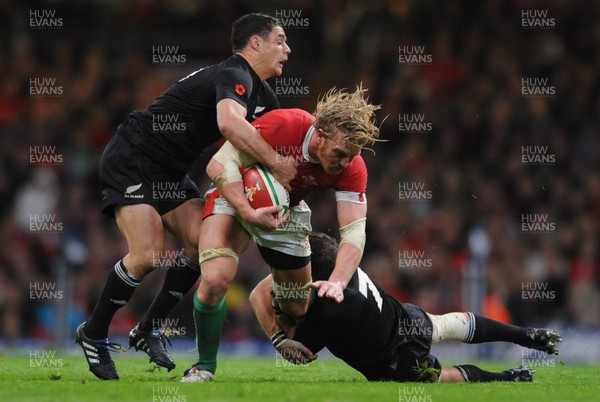 07.11.09 - Wales v New Zealand - Invesco Perpetual Series 2009 - Andy Powell of Wales takes on Dan Carter and Richie McCaw of New Zealand. 