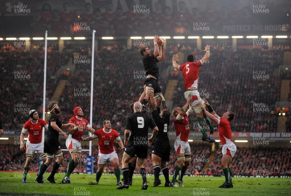 07.11.09 - Wales v New Zealand - Invesco Perpetual Series 2009 - Wales and New Zealand compete for line-out ball. 
