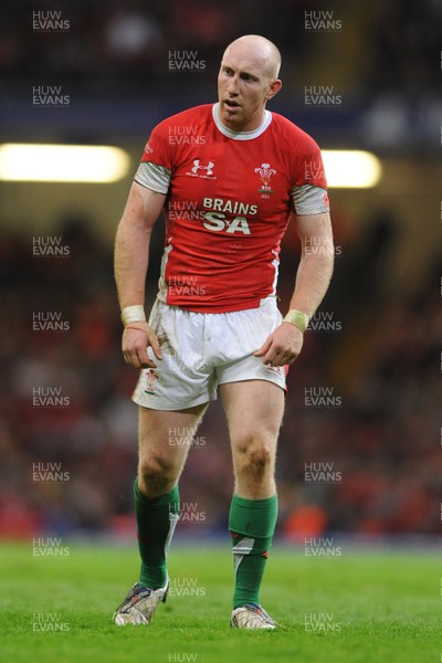 07.11.09 - Wales v New Zealand - Invesco Perpetual Series 2009 - Tom Shanklin of Wales. 