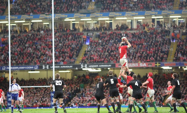 07.11.09... Wales v New Zealand, Invesco Perpetual Series Wales' Ryan Jones claims lineout ball 