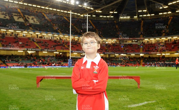 22.11.08 - Wales v New Zealand - Invesco Perpetual Series 2008 - Mascot Jacob Wickstead. 