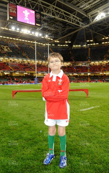 22.11.08 - Wales v New Zealand - Invesco Perpetual Series 2008 - Mascot Jacob Wickstead. 