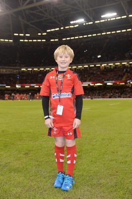 221114 - Wales v New Zealand All Blacks - Dove Men Care -Mascot