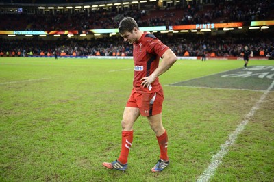 221114 - Wales v New Zealand All Blacks - Dove Men Care -Dan Biggar of Wales looks dejected at the end of the game