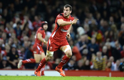 221114 - Wales v New Zealand All Blacks - Dove Men Care -Sam Warburton of Wales