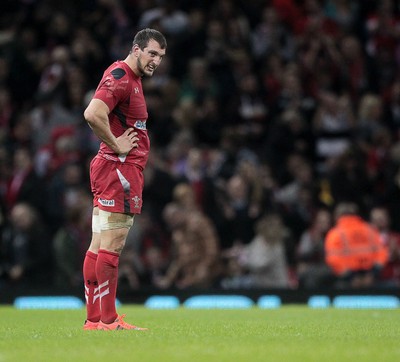 221114 - Wales v New Zealand - Dove Men Series 2014 - Dejected Sam Warburton of Wales