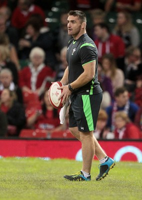 221114 - Wales v New Zealand - Dove Men Series 2014 - Huw Bennett