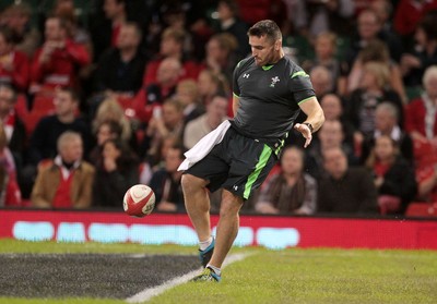 221114 - Wales v New Zealand - Dove Men Series 2014 - Huw Bennett