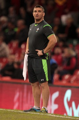 221114 - Wales v New Zealand - Dove Men Series 2014 - Huw Bennett