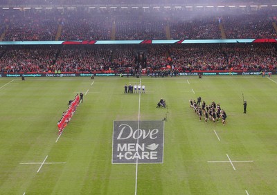 221114 - Wales v New Zealand - Dove Men+Care Series - Dove Men+Care pitch marking