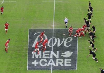 221114 - Wales v New Zealand - Dove Men+Care Series - Dove Men+Care pitch marking