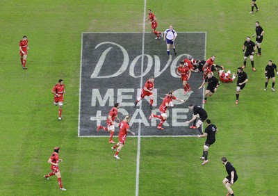 221114 - Wales v New Zealand - Dove Men+Care Series - Dove Men+Care pitch marking