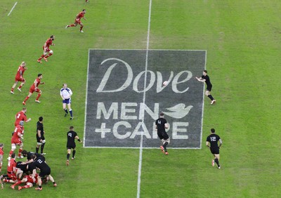 221114 - Wales v New Zealand - Dove Men+Care Series - Dove Men+Care pitch marking