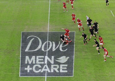 221114 - Wales v New Zealand - Dove Men+Care Series - Dove Men+Care pitch marking