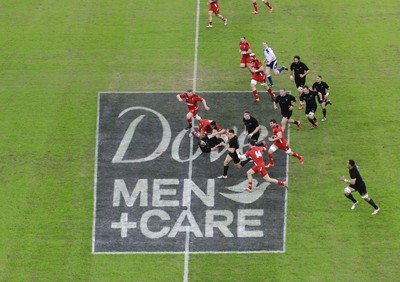 221114 - Wales v New Zealand - Dove Men+Care Series - Dove Men+Care pitch marking