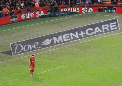 221114 - Wales v New Zealand - Dove Men+Care Series - Dove Men+Care pitch marking