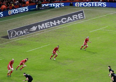 221114 - Wales v New Zealand - Dove Men+Care Series - Dove Men+Care pitch marking