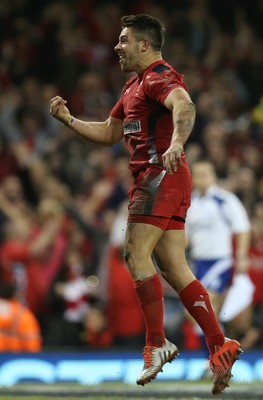 221114 -  Wales v New Zealand, Dove Men Series 2014, Cardiff - Rhys Webb of Wales celebrates after scoring try 