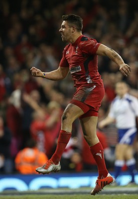 221114 -  Wales v New Zealand, Dove Men Series 2014, Cardiff - Rhys Webb of Wales celebrates after scoring try 