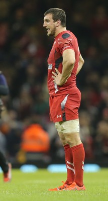 221114 -  Wales v New Zealand, Dove Men Series 2014, Cardiff - Sam Warburton of Wales at the final whistle