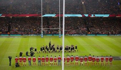 221114 -  Wales v New Zealand, Dove Men Series 2014, Cardiff - The Welsh team face unto the New Zealand haka at the start of the match