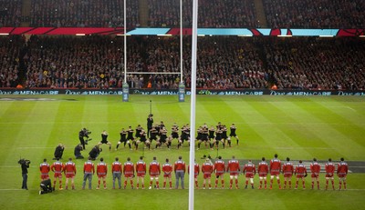 221114 -  Wales v New Zealand, Dove Men Series 2014, Cardiff - The Welsh team face unto the New Zealand haka at the start of the match