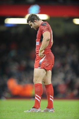 221114 - Wales v New Zealand -Dejection by Leigh Halfpenny at the final whistle