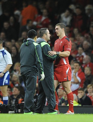 221114 - Wales v New Zealand -Wales' George North being treated for the injury which resulted in him leaving the field