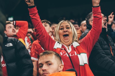 221125 - Wales v New Zealand - Quilter Nations Series - Wales Fans inside the stadium during the game 