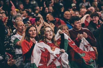 221125 - Wales v New Zealand - Quilter Nations Series - Wales Fans inside the stadium during the game 
