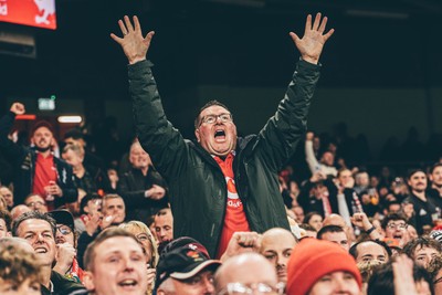 221125 - Wales v New Zealand - Quilter Nations Series - Wales Fans inside the stadium during the game 