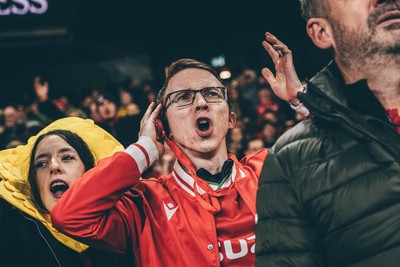 221125 - Wales v New Zealand - Quilter Nations Series - Wales Fans inside the stadium during the game 