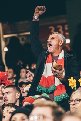 221125 - Wales v New Zealand - Quilter Nations Series - Wales Fans inside the stadium during the game 